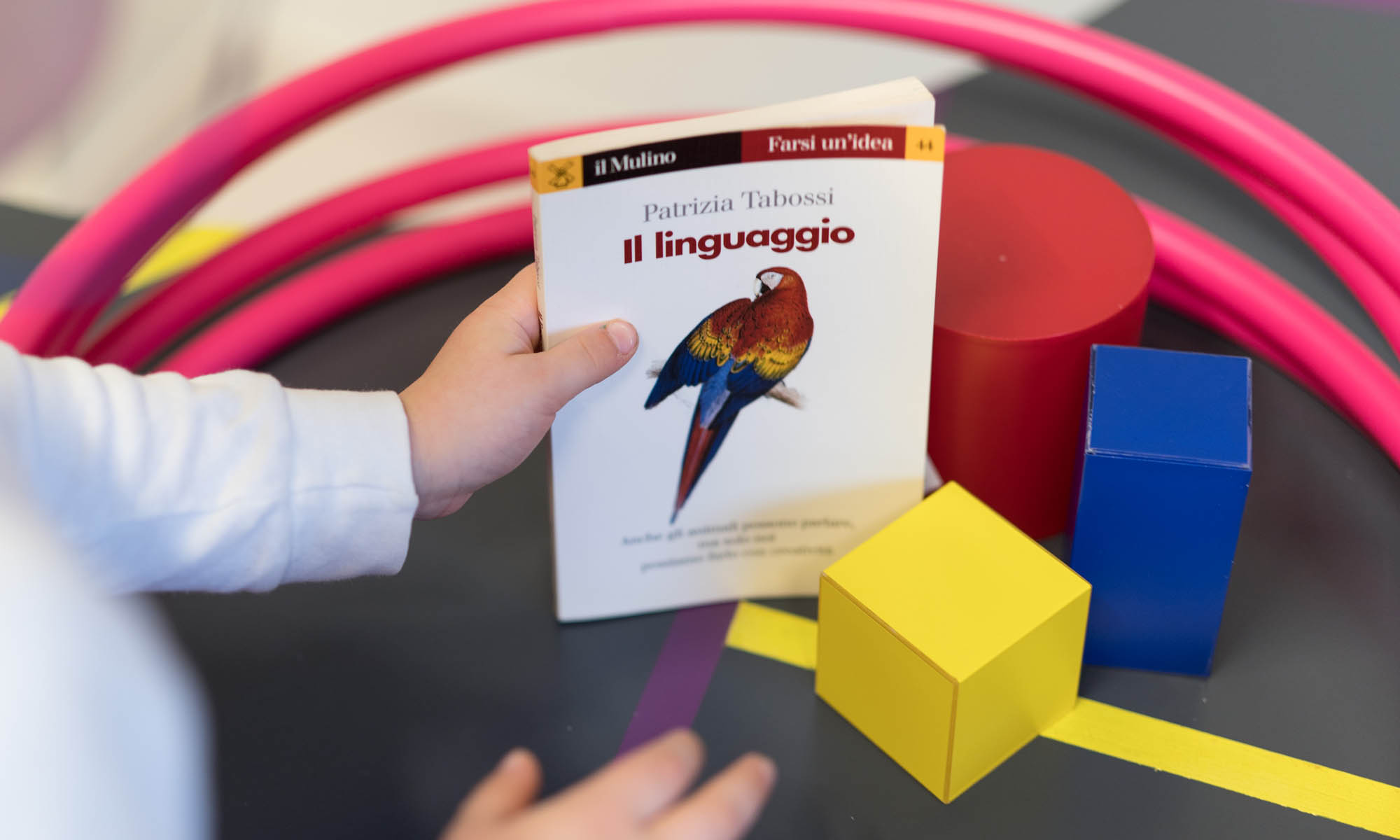 studio psico pedagogico noah area pedagogica 112